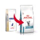 Royal Canin Veterinary Anallergenic pour chat