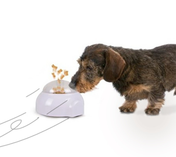 chien jouet interactif