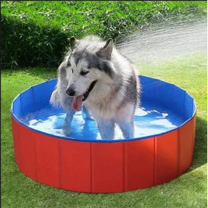 Piscine Doggy Cool Pour Chien Pas Cher Chez Brekz