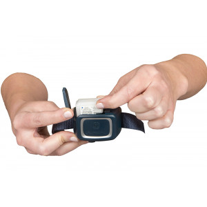 petsafe spray trainer