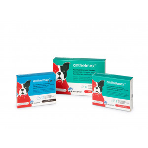 Anthelmex Kauwtabletten voor honden