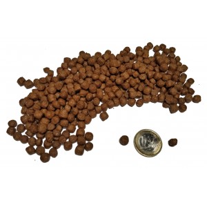 Lukos Puppy en Junior Mini & Small Breeds