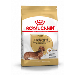 Royal Canin Adult Teckel pour chien Pâtée (12x85g)