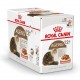 Royal Canin Ageing 12+ pour chat x12 sachets