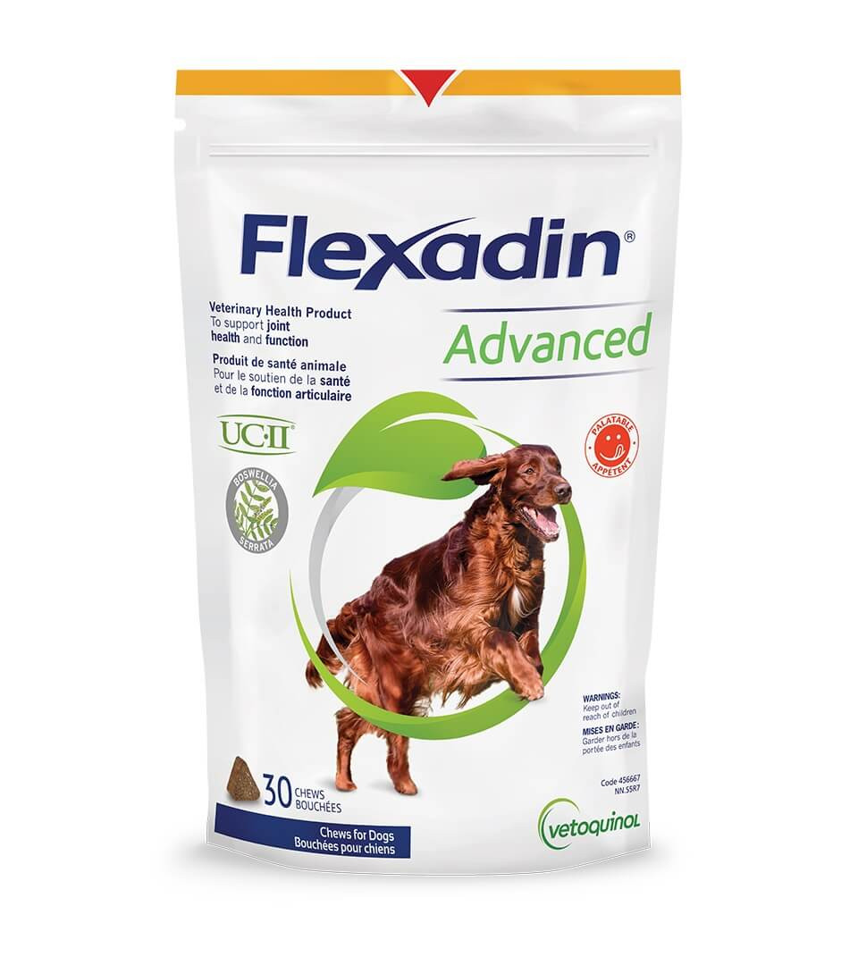 Flexadin Advanced à l'extrait de Boswellia pour chien