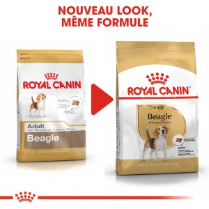 Royal Canin Adult Beagle pour chien