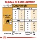 Royal Canin Bichon Frise Adult pour chien