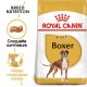 Royal Canin Adult Boxer pour chien