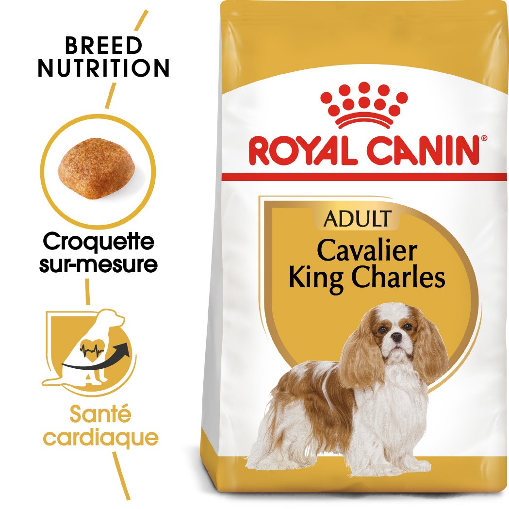 Royal Canin Adult Cavalier King Charles pour chien