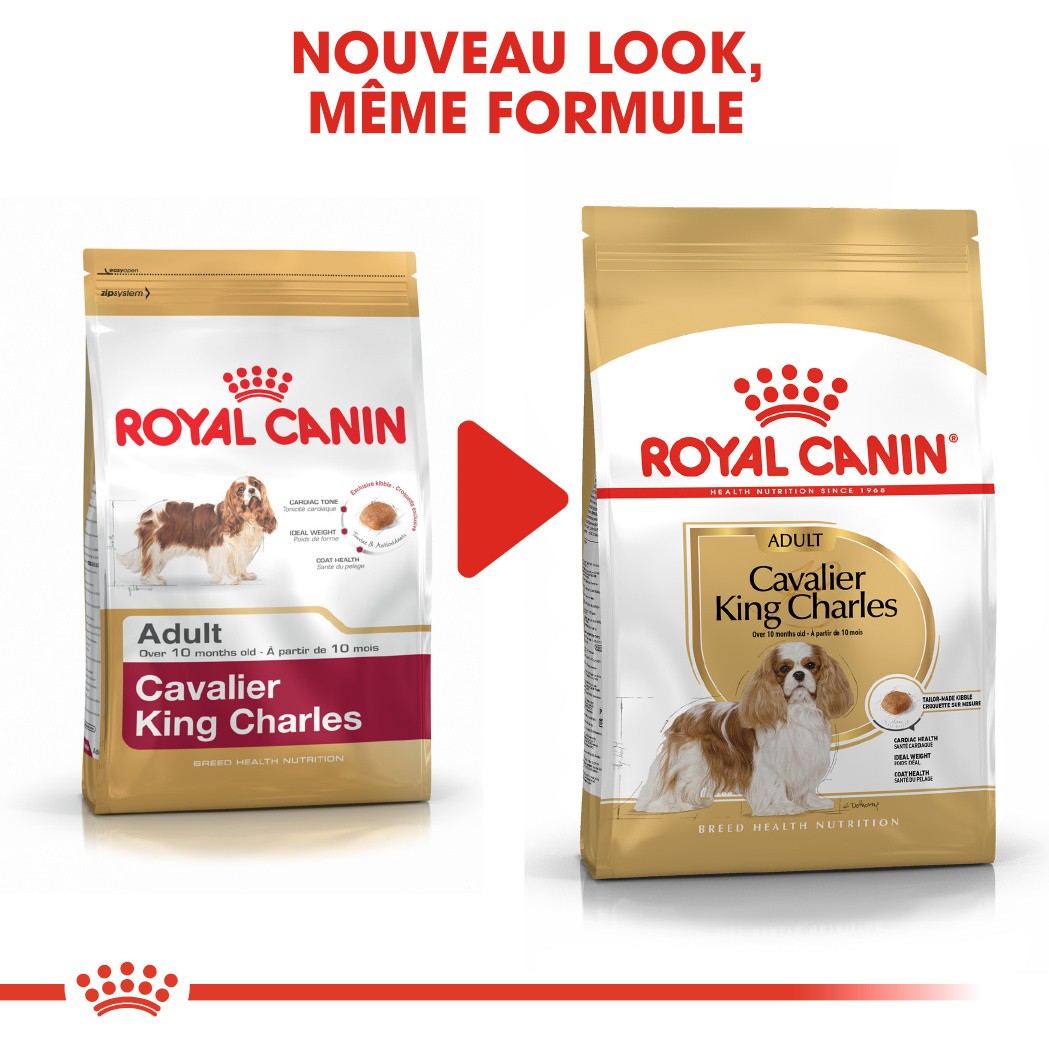 Royal Canin Adult Cavalier King Charles pour chien