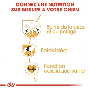 Royal Canin Adult Cocker Spaniel pour chien