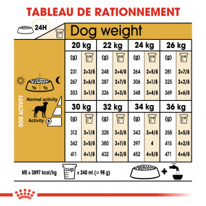 Royal Canin Adult Dalmatien pour chien