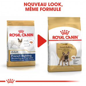 Royal Canin Adult Bouledogue Français pour chien