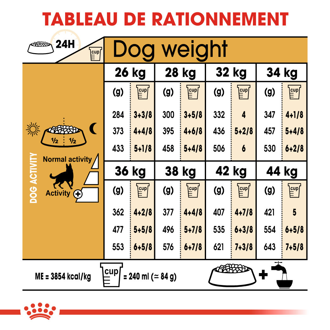 Royal Canin Adult Berger Allemand pour chien
