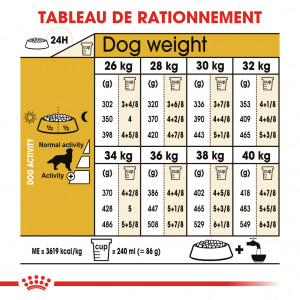 Royal Canin Adult Golden Retriever pour chien