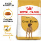 Royal Canin Adult Dogue Allemand pour chien