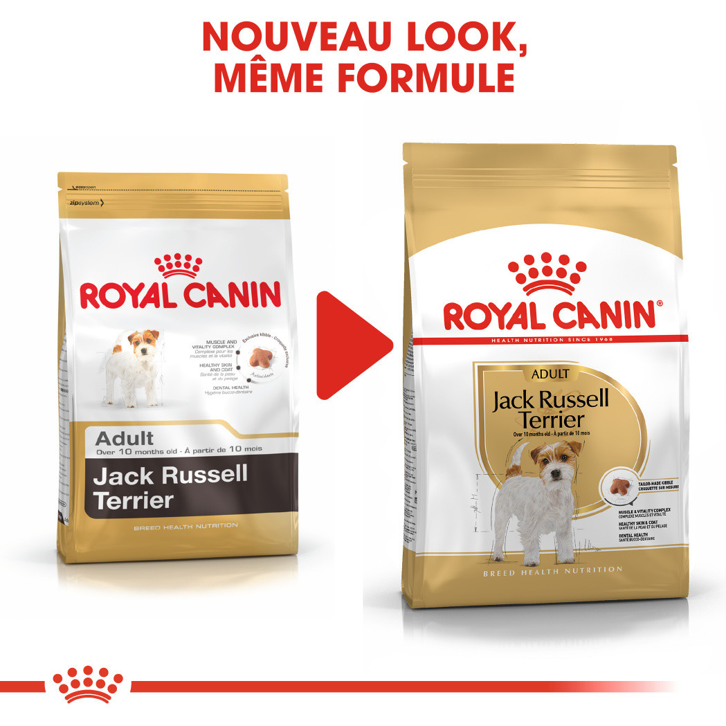 Royal Canin Adult Jack Russell Terrier pour chien
