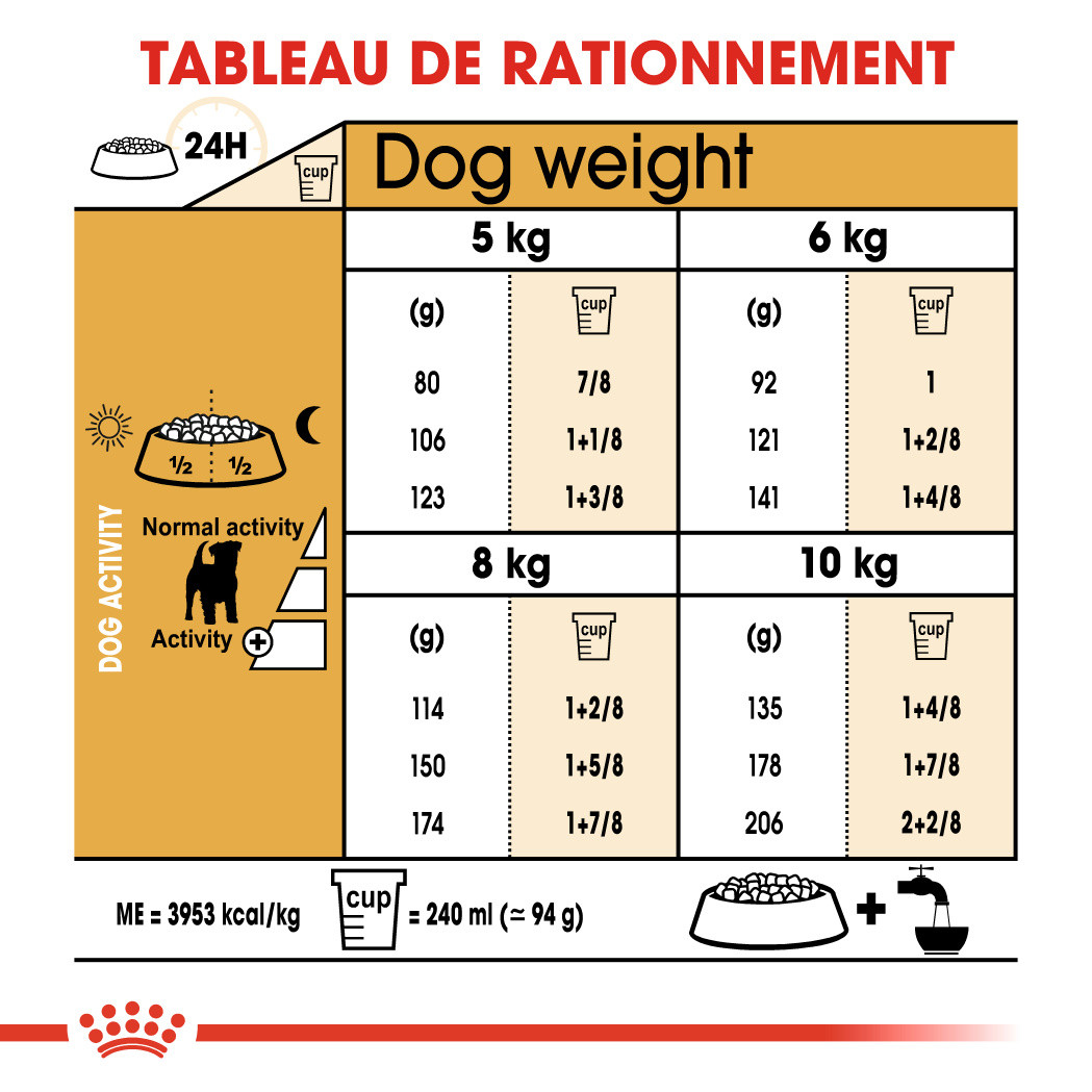 Royal Canin Adult Jack Russell Terrier pour chien