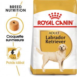 Royal Canin Adult Labrador Retriever pour chien