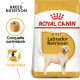 Royal Canin Adult Labrador Retriever pour chien