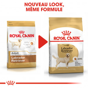 Royal Canin Adult Labrador Retriever pour chien