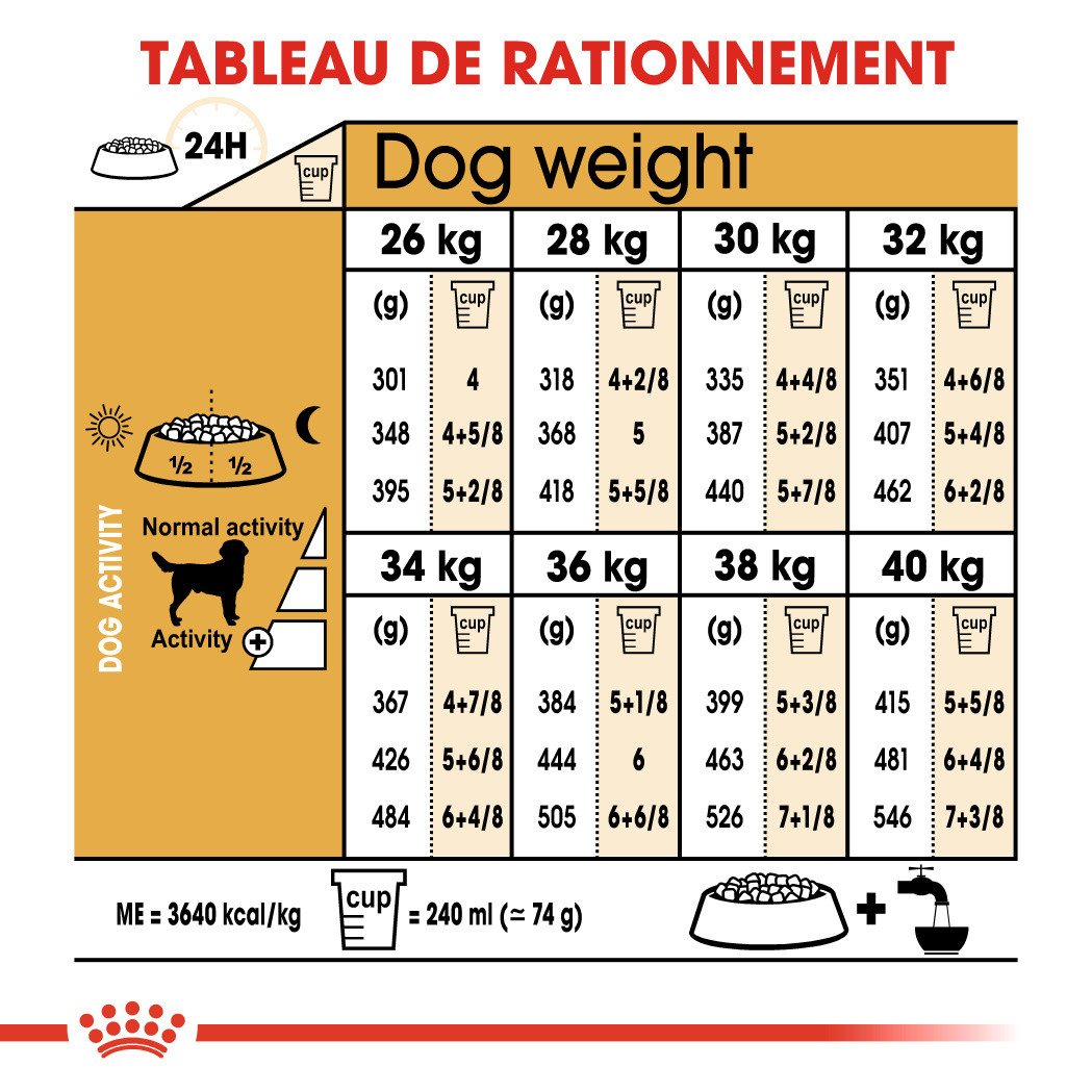 Royal Canin Adult Labrador Retriever pour chien