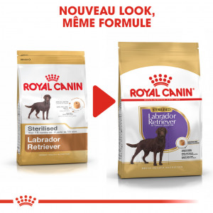 Royal Canin Sterilised Adult Labrador Retriever pour chien