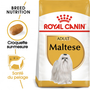 Royal Canin Adult Bichon Maltais pour chien