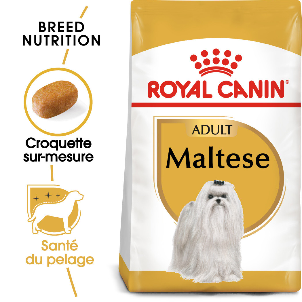 Royal canin bichon food cheap