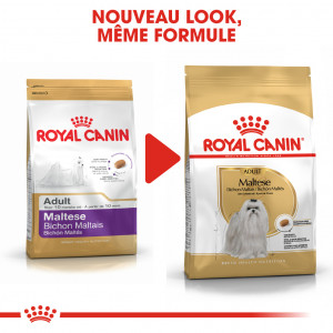 Royal Canin Adult Bichon Maltais pour chien