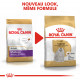 Royal Canin Adult Bichon Maltais pour chien