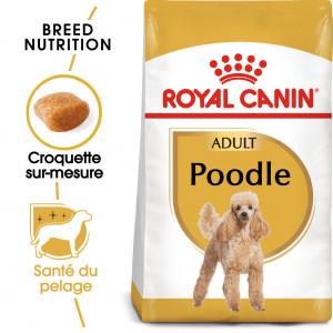 Royal Canin Adult Caniche pour chien