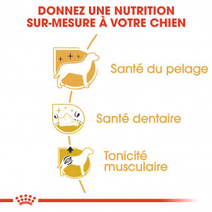 Royal Canin Adult Caniche pour chien