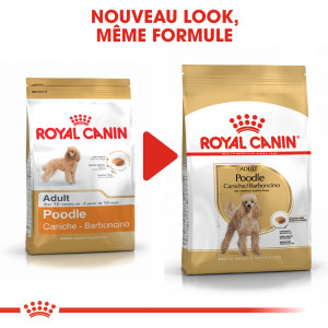 Royal Canin Adult Caniche pour chien