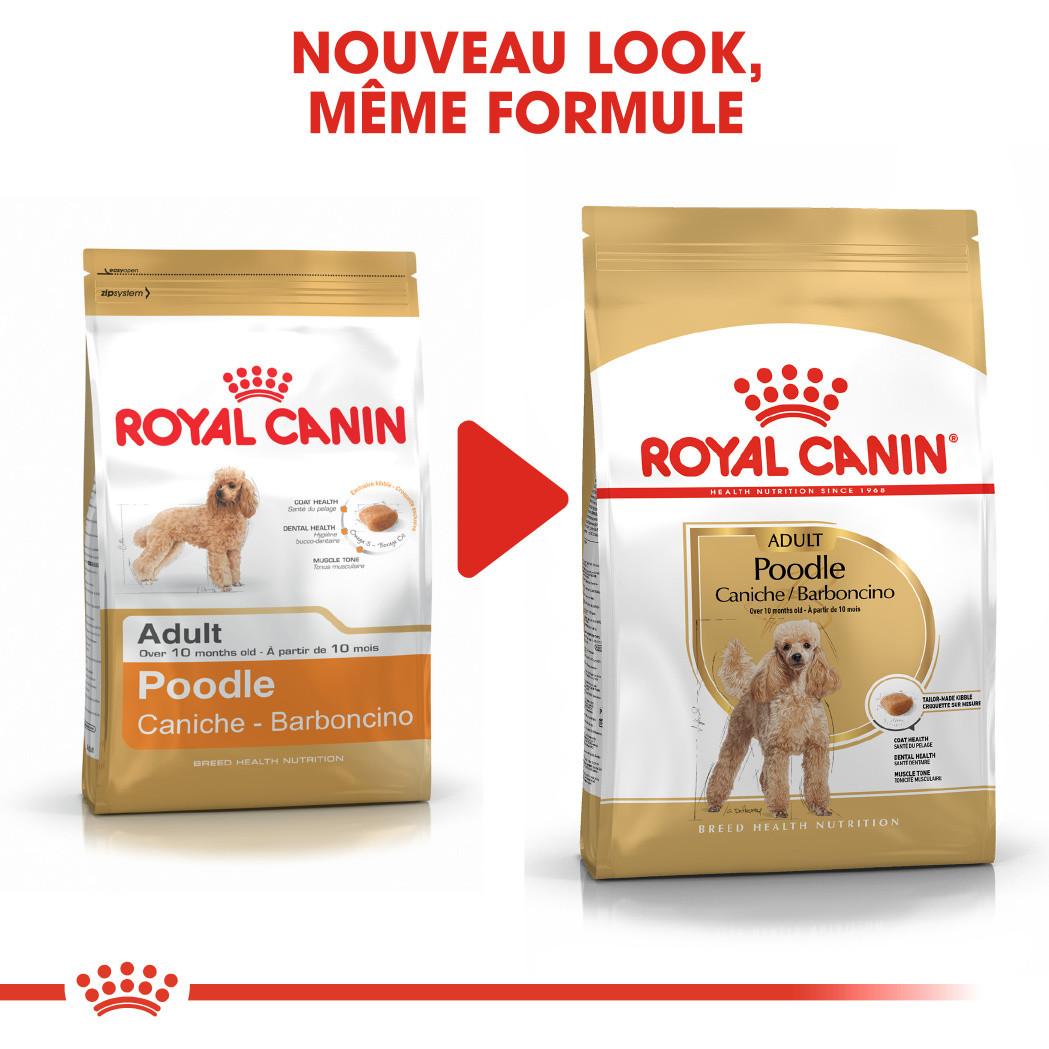 Royal Canin Adult Caniche pour chien