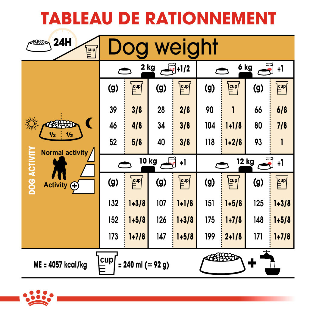 Royal Canin Adult Caniche pour chien