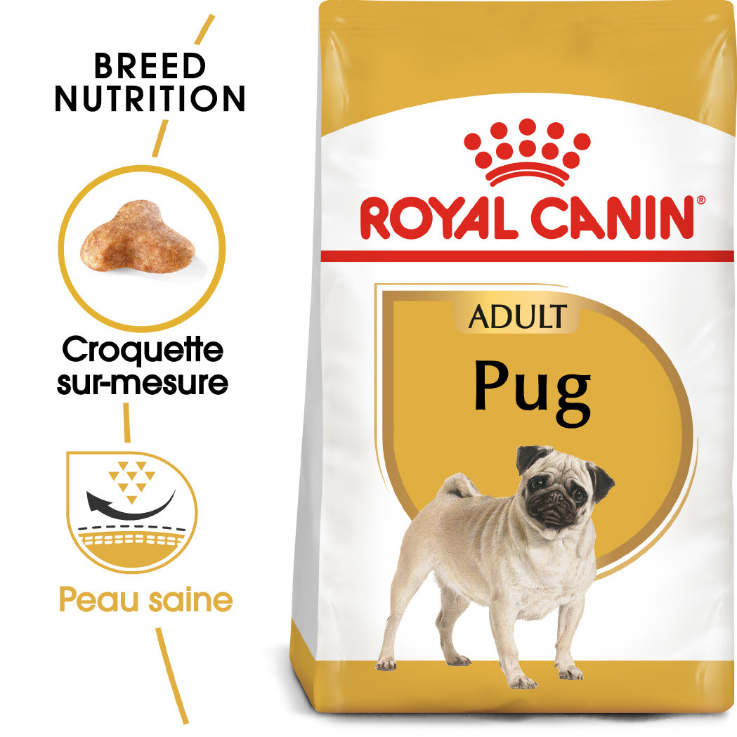 Royal Canin Adult Carlin pour chien