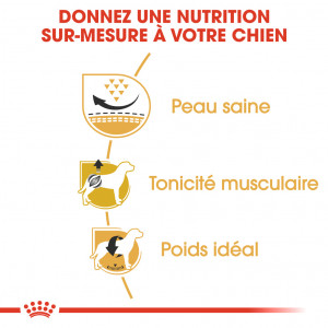 Royal Canin Adult Carlin pour chien