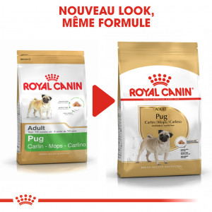 Royal Canin Adult Carlin pour chien