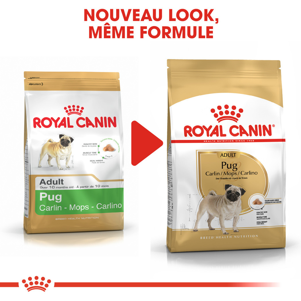 Royal Canin Adult Carlin pour chien