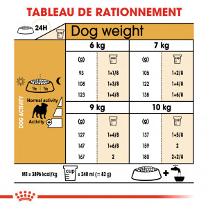 Royal Canin Adult Carlin pour chien