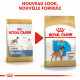 Royal Canin Puppy Boxer pour chiot