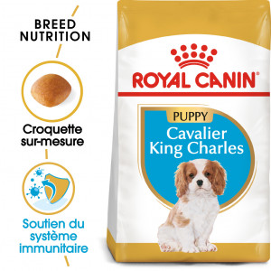 Royal Canin Puppy Cavalier King Charles pour chiot