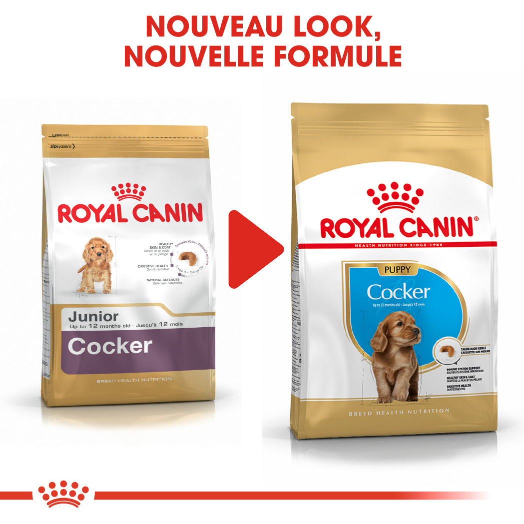 Royal Canin Puppy Cocker Spaniel pour chiot