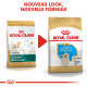Royal Canin Puppy Golden Retriever pour chiot