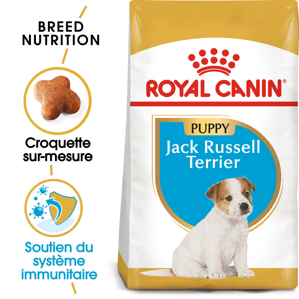 Royal Canin Puppy Jack Russell Terrier pour chiot