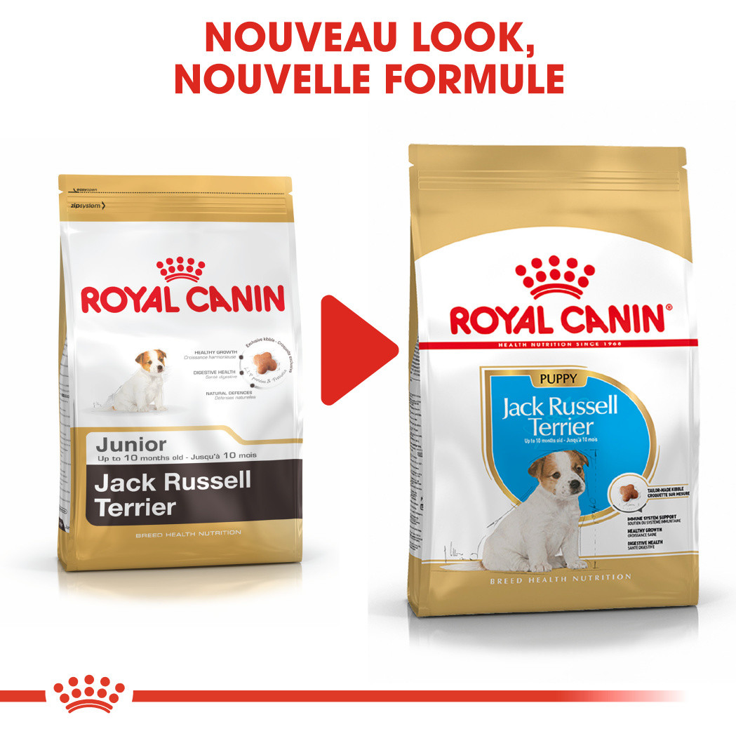 Royal Canin Puppy Jack Russell Terrier pour chiot
