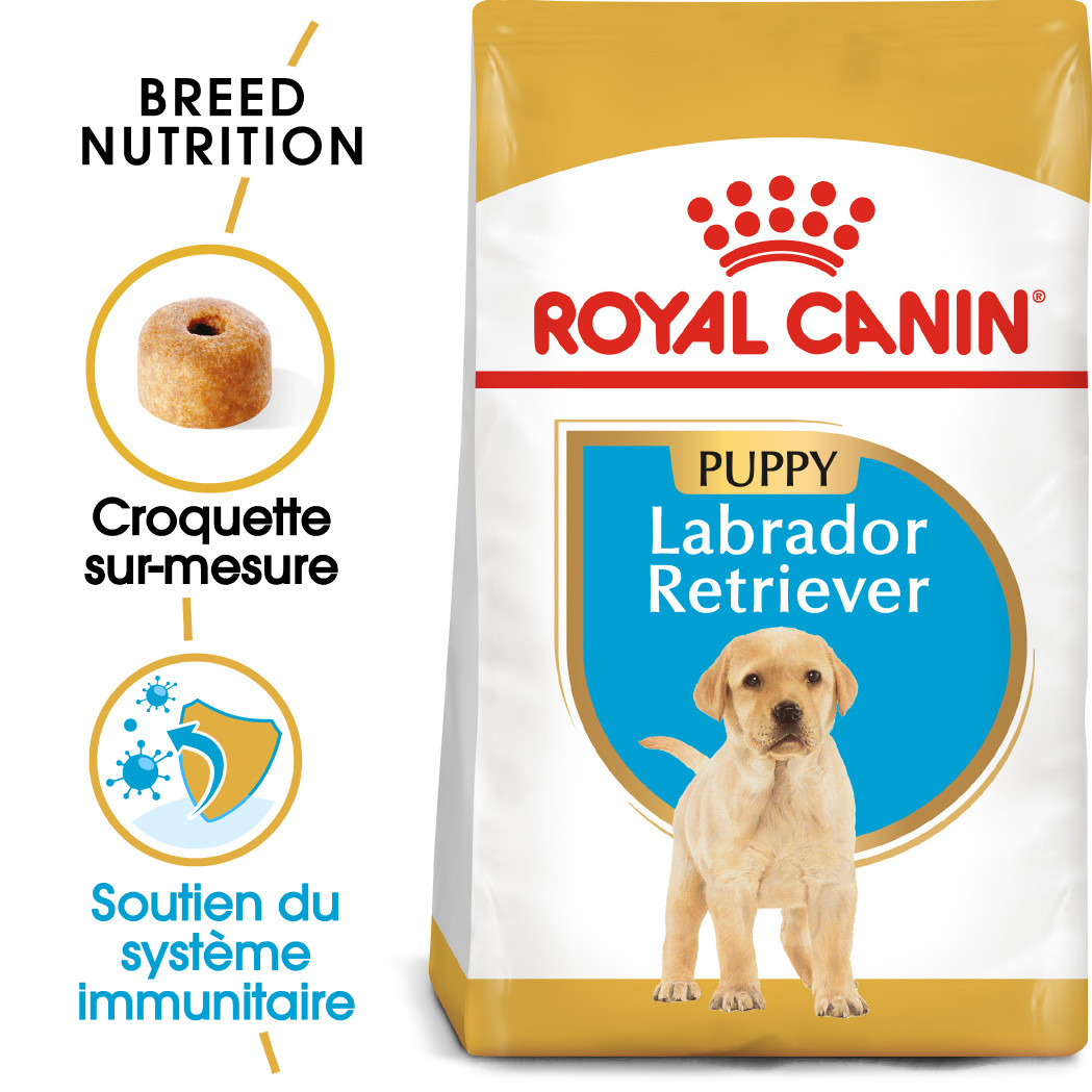 Royal Canin Puppy Labrador Retriever pour chiot