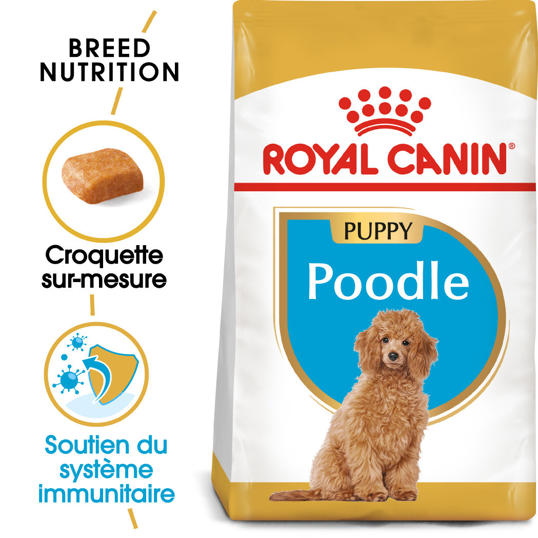 Royal Canin Poodle 33 junior hondenvoer