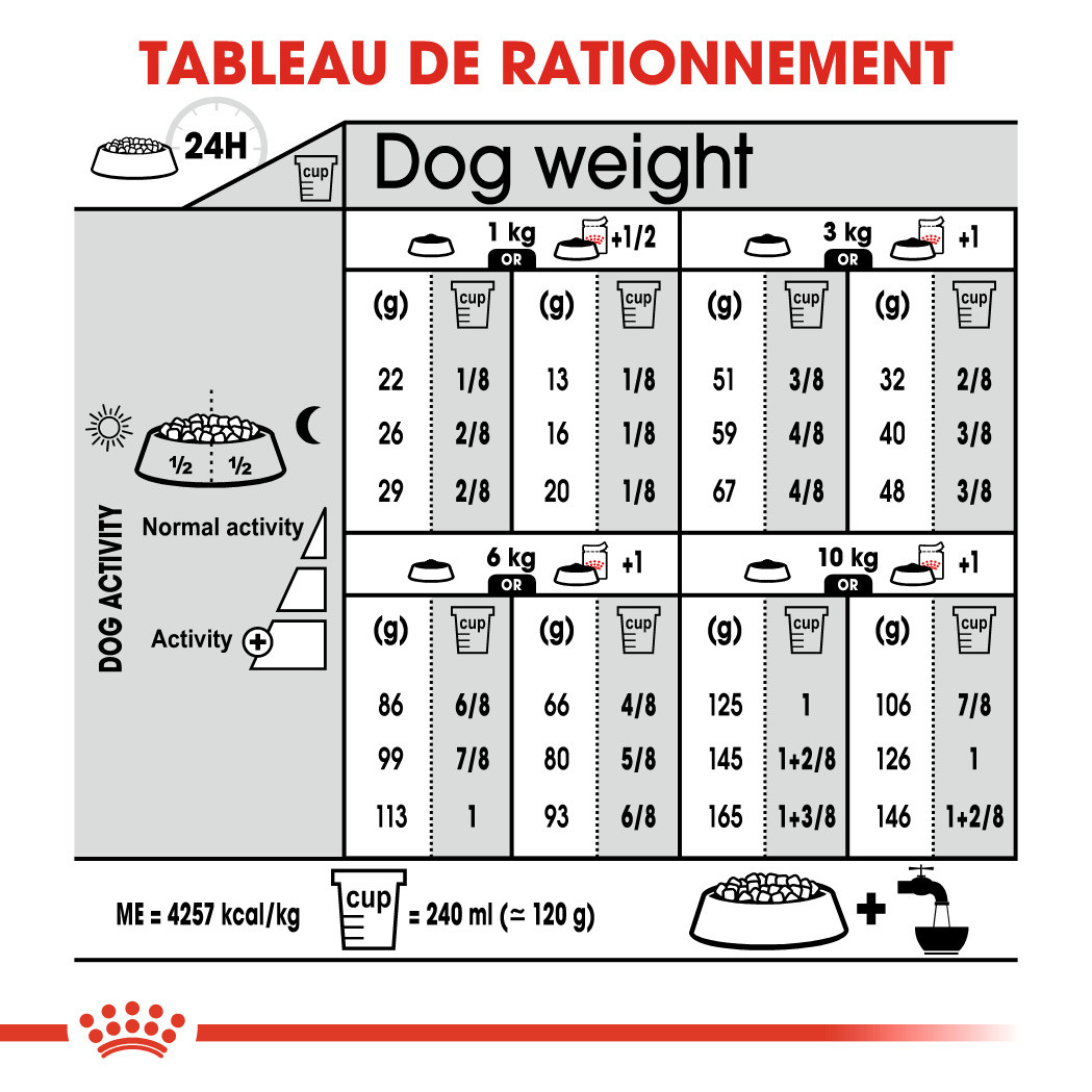 Royal Canin Mini Digestive Care pour chien